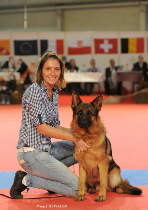 Du fosse des pandours - Jessica meilleure jeune berger allemand