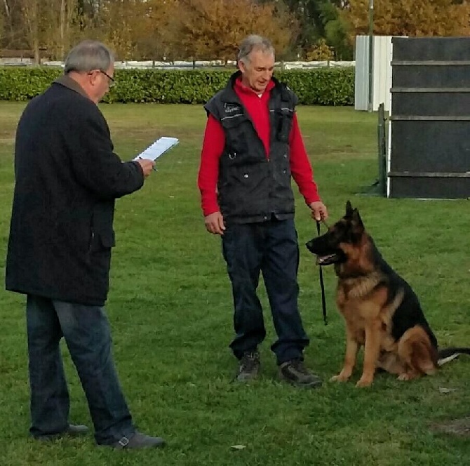 Du fosse des pandours - Jason obtient son certificat le 20.11.16 à Haguenau