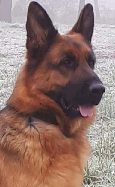 Nala Du fosse des pandours